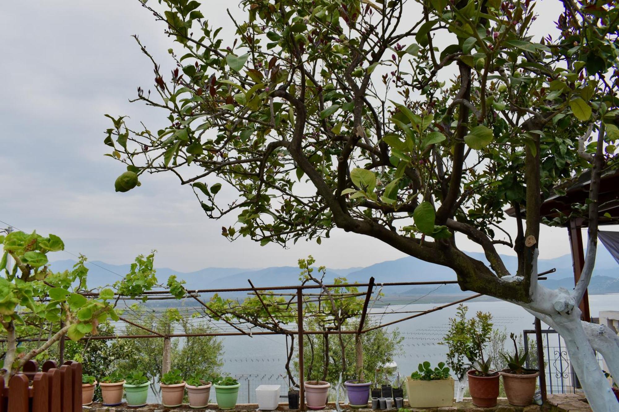 Ksamil Sea&Lake View Escape Esterno foto